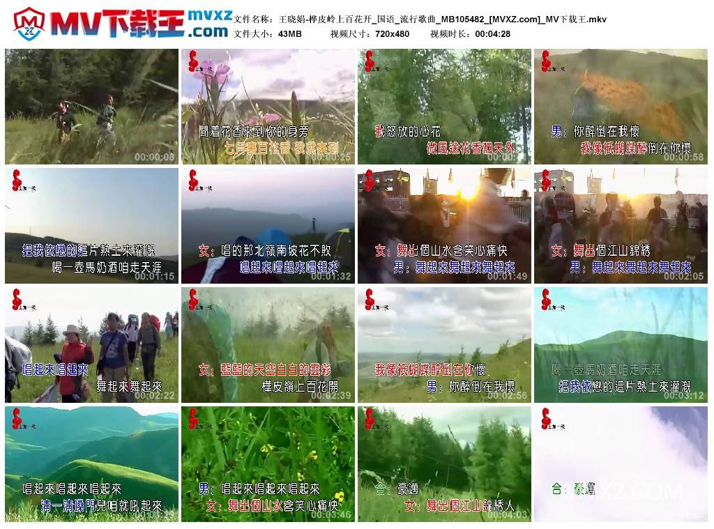 王晓娟-桦皮岭上百花开_国语_流行歌曲_MB105482